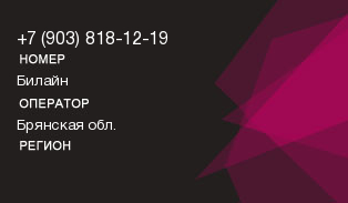 9038181219
